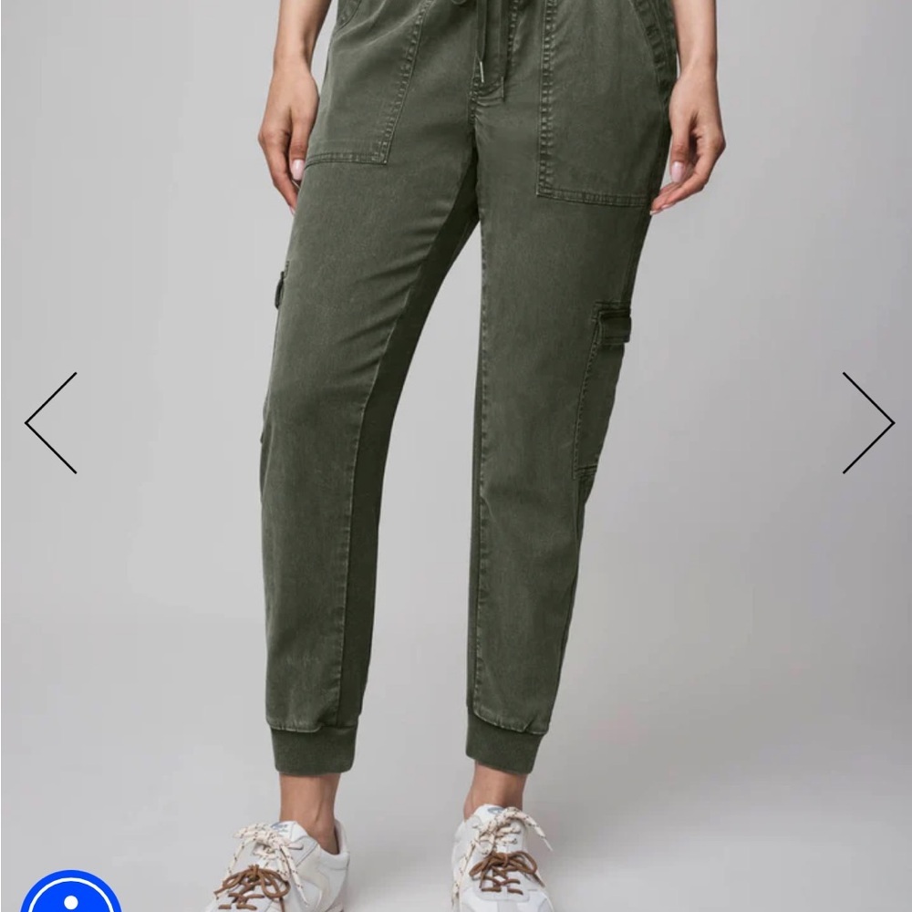 Splendid spruce Green Jaclyn Jogger Pants - Picture 3 of 5